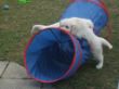 DSCF4625.JPG